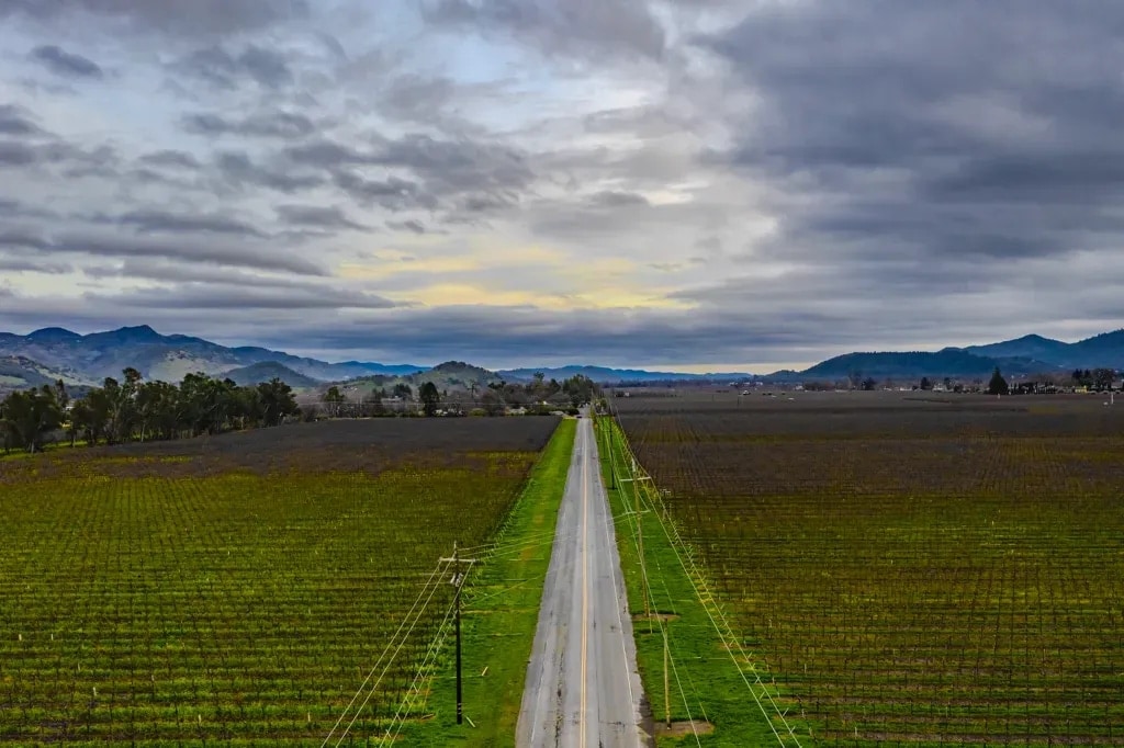 A sweeping view south over Napa Valley vineyards toward Yountville, California
