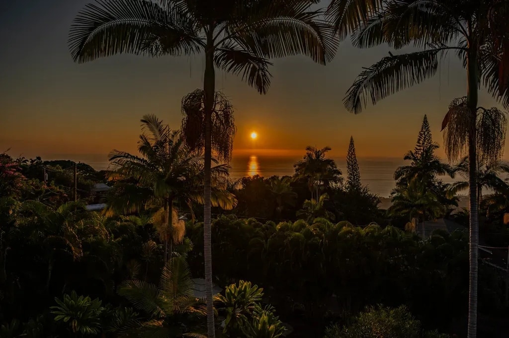 Palm fronds silhouetted against a golden Hawaiian sunset over the Pacific