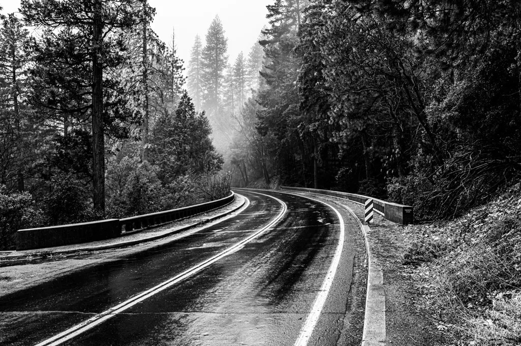 A rain-wet road curving through fog and pines on the Valley Loop Road, Yosemite, black and white