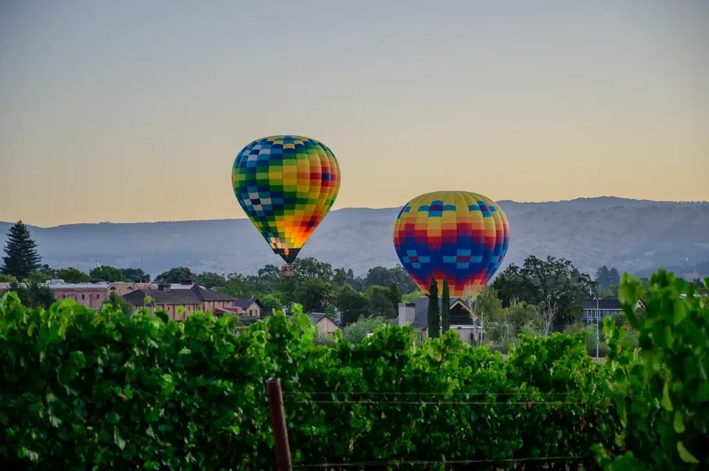 Hot air balloons drifting over vineyard rows at dawn, Yountville, Napa Valley