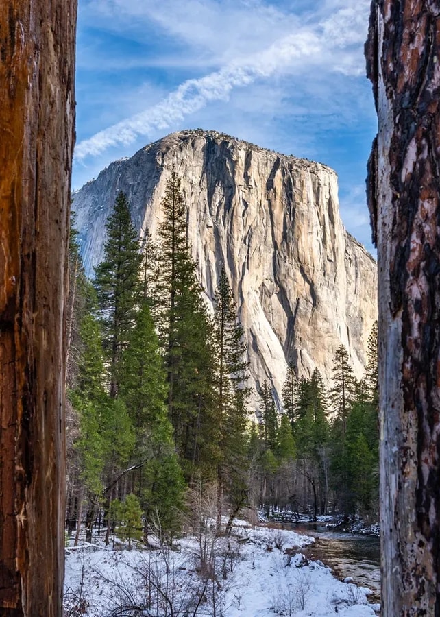 El Capitan framed between two pine trunks, snow on the valley floor, Yosemite, California